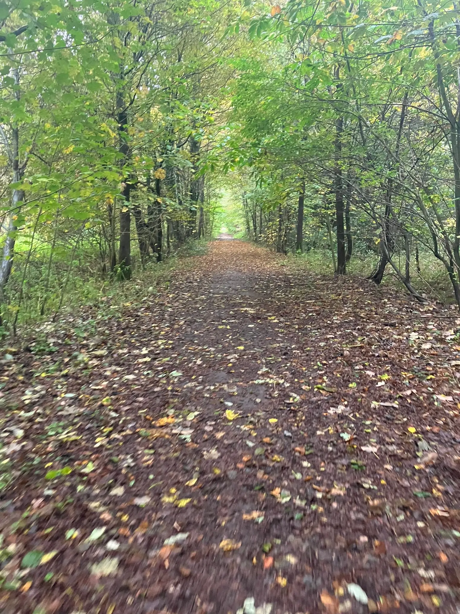 Wandeling afbeelding