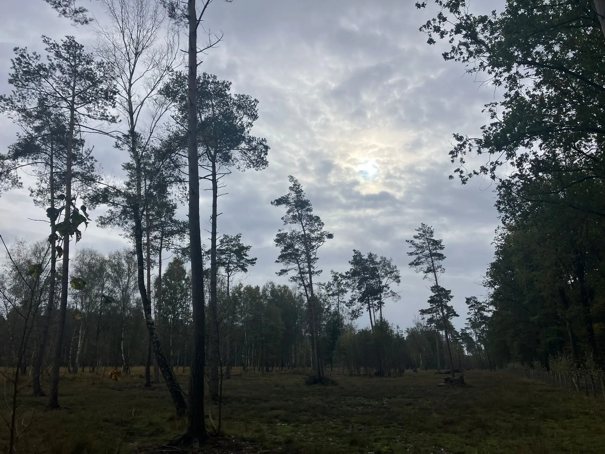 Wandeling afbeelding