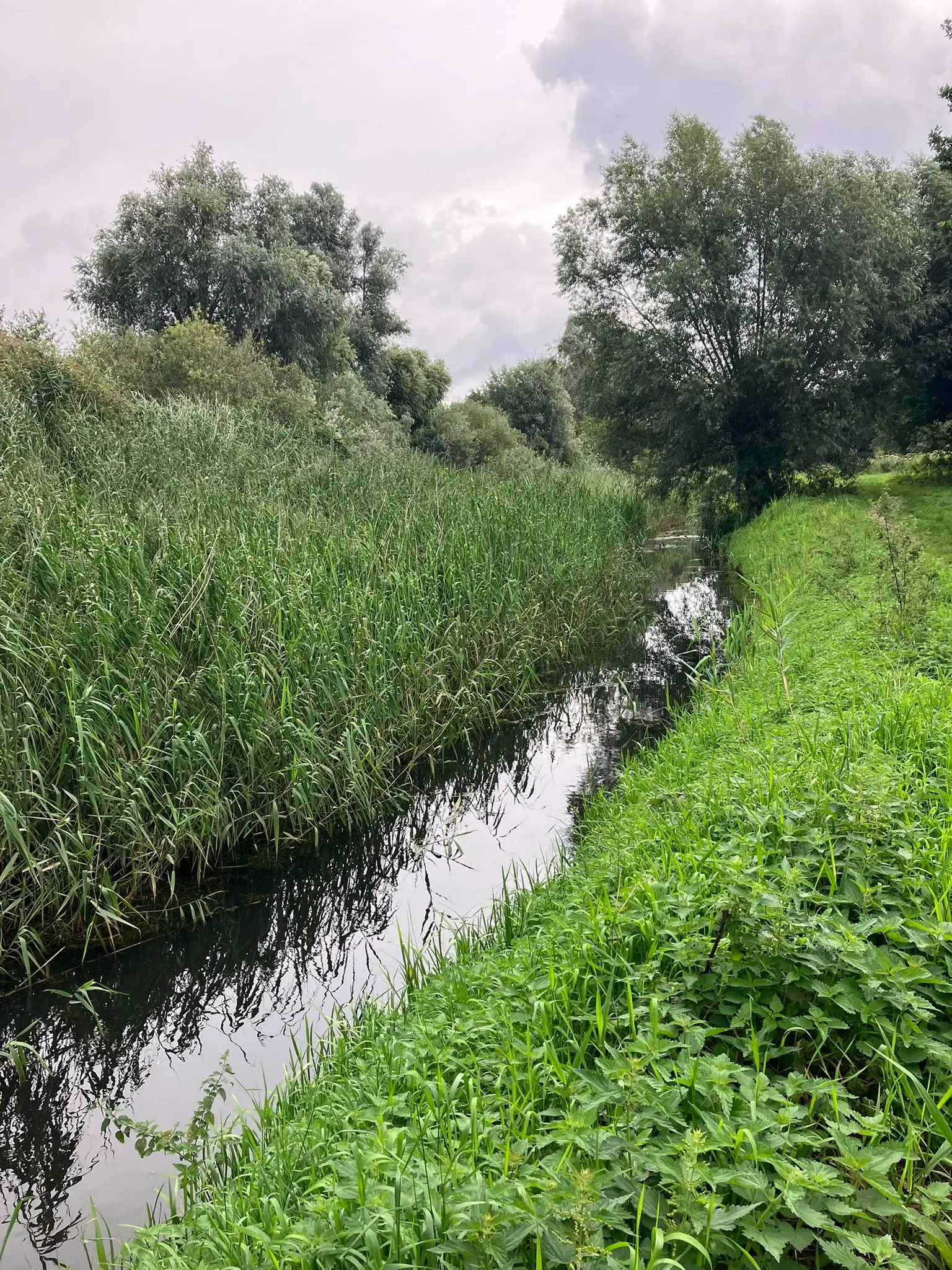 Wandeling afbeelding