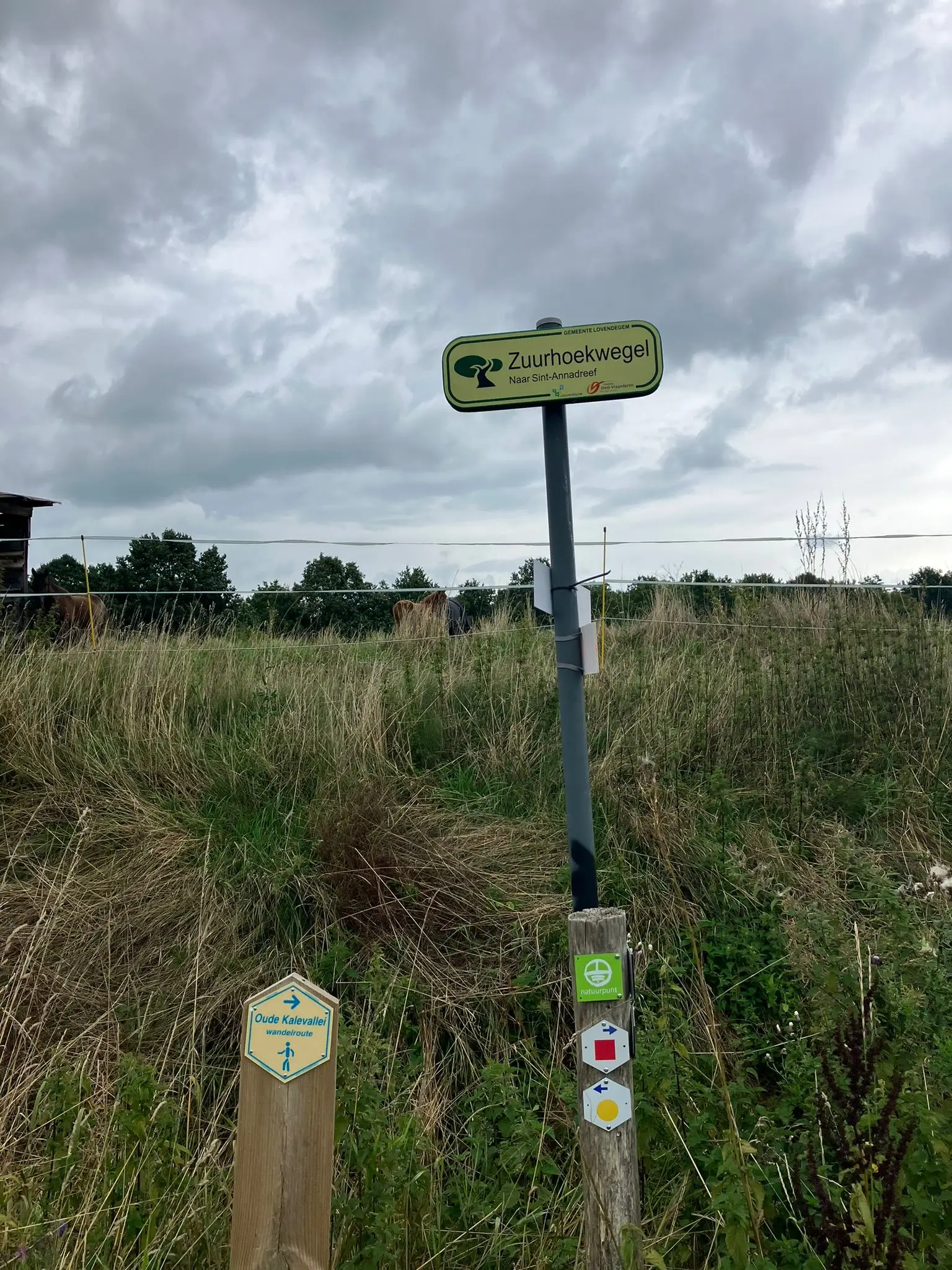 Wandeling afbeelding