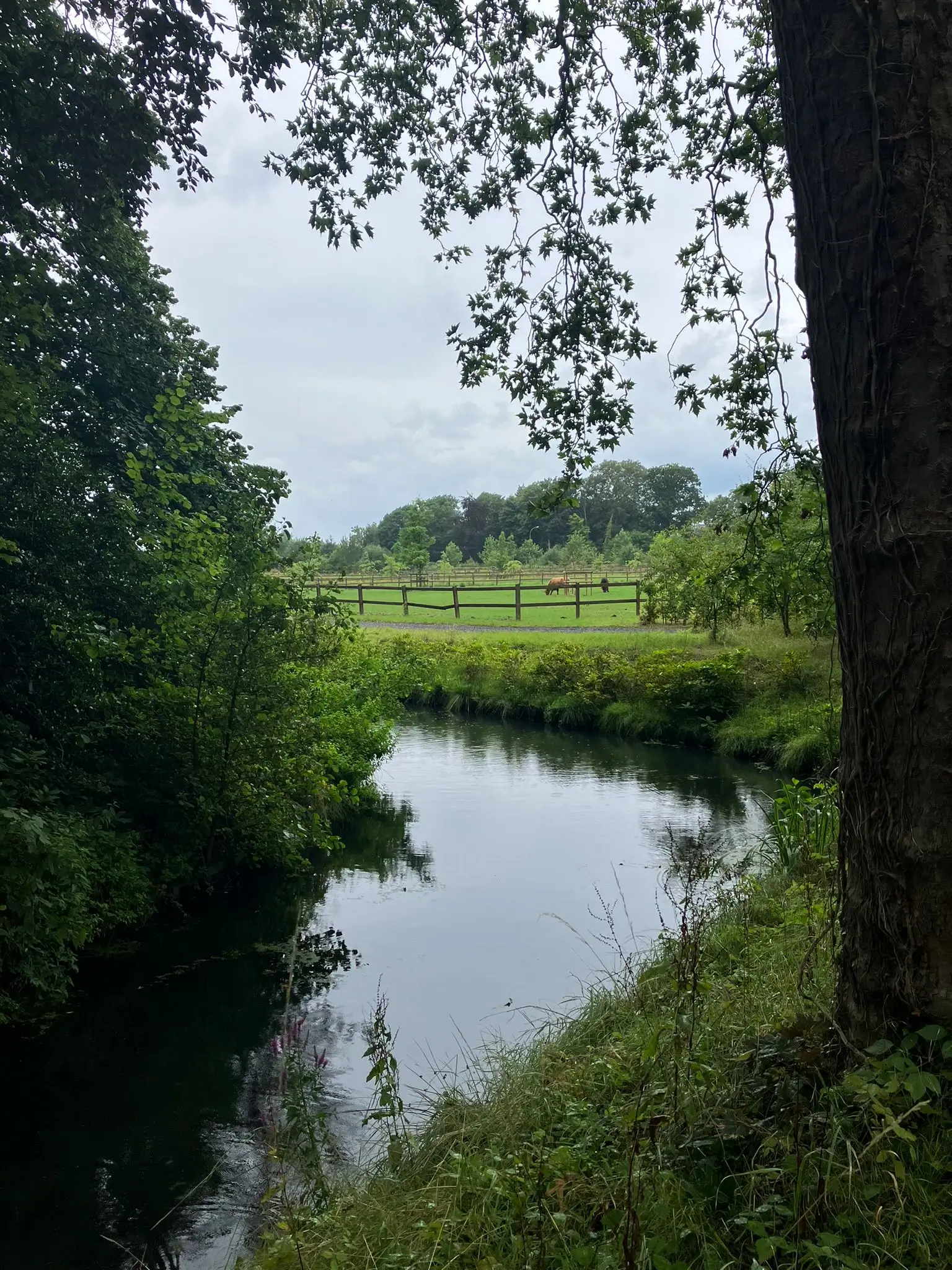 Wandeling afbeelding