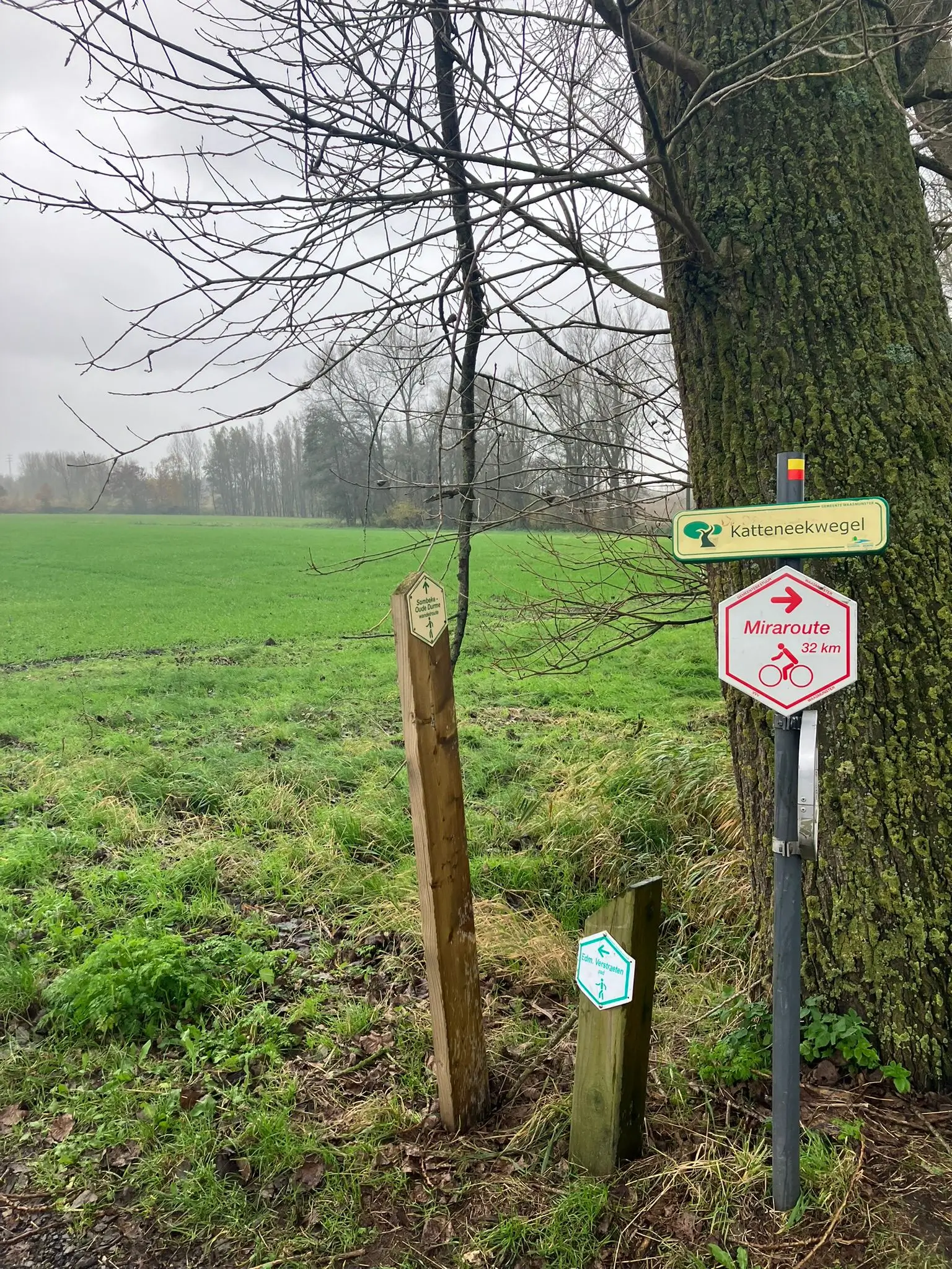 Wandeling afbeelding
