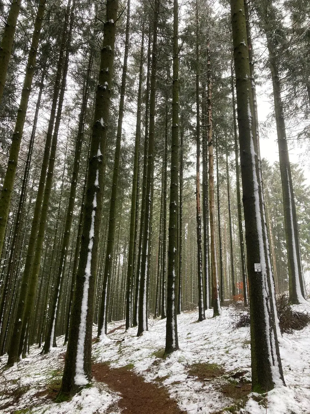 Wandeling afbeelding