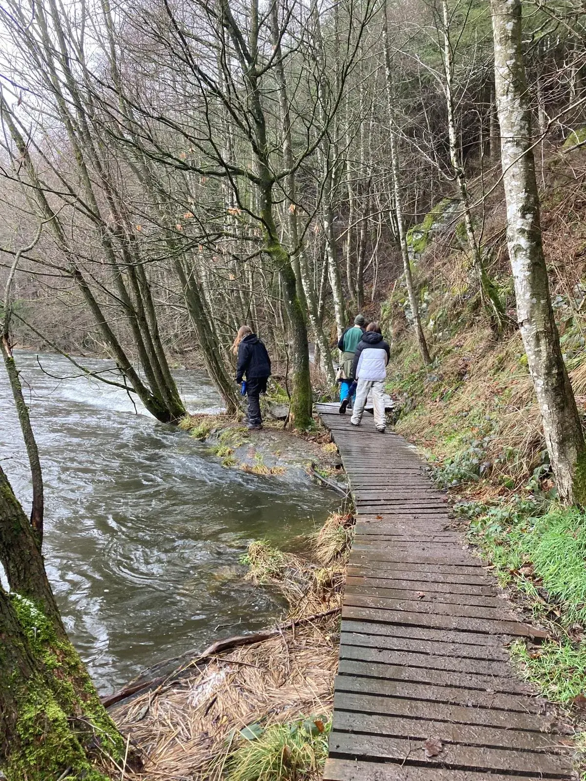 Wandeling afbeelding