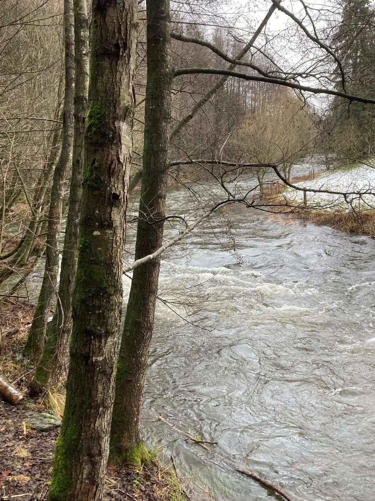 Wandeling afbeelding