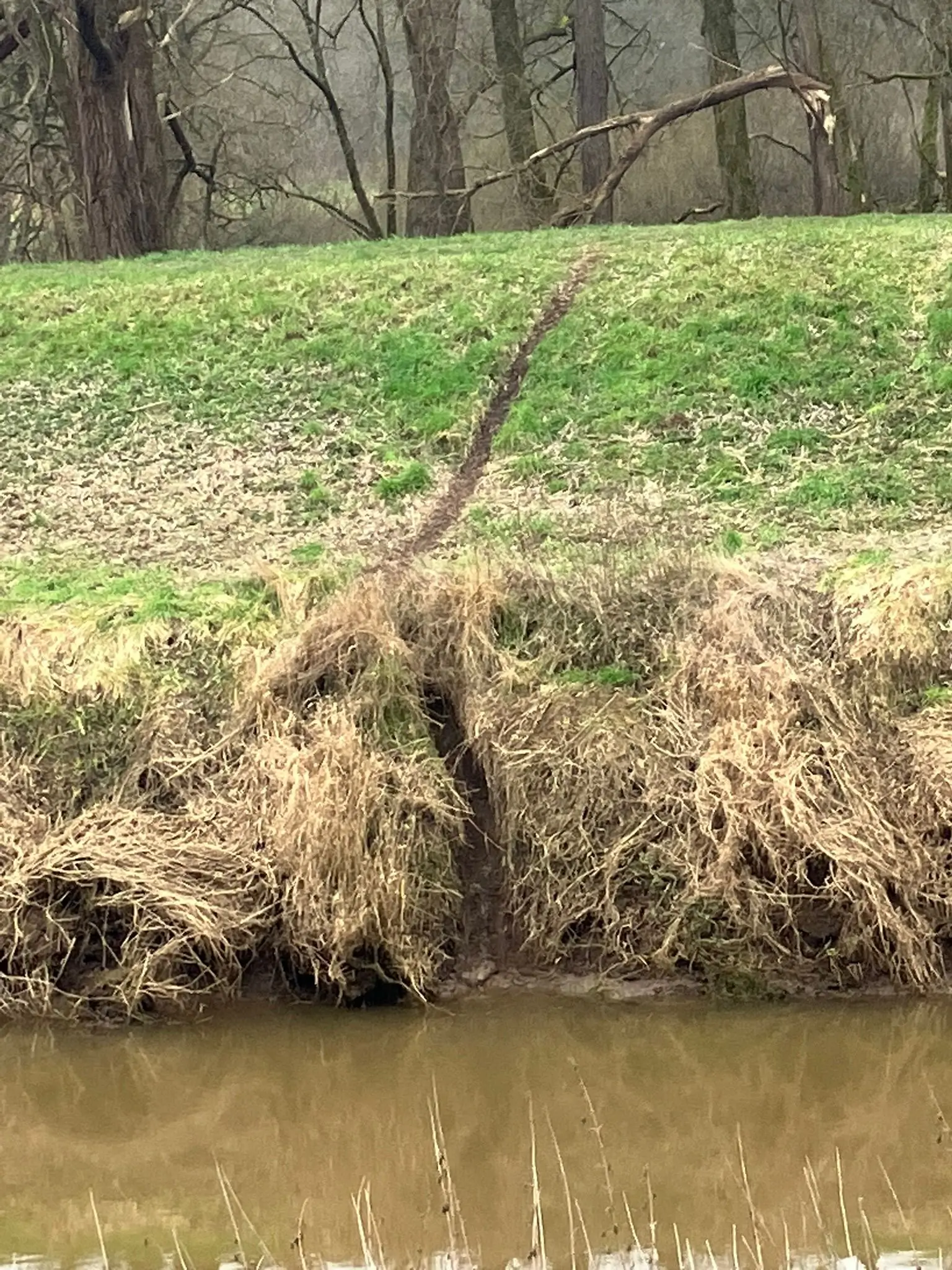 Wandeling afbeelding