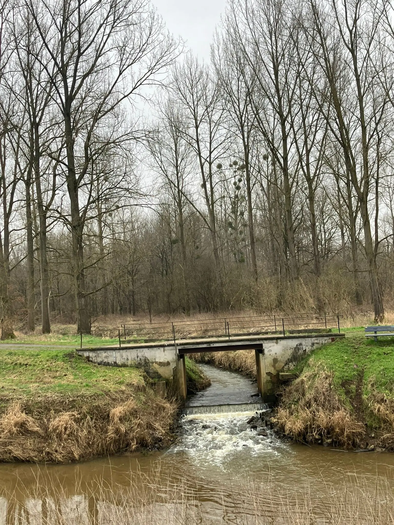 Wandeling afbeelding