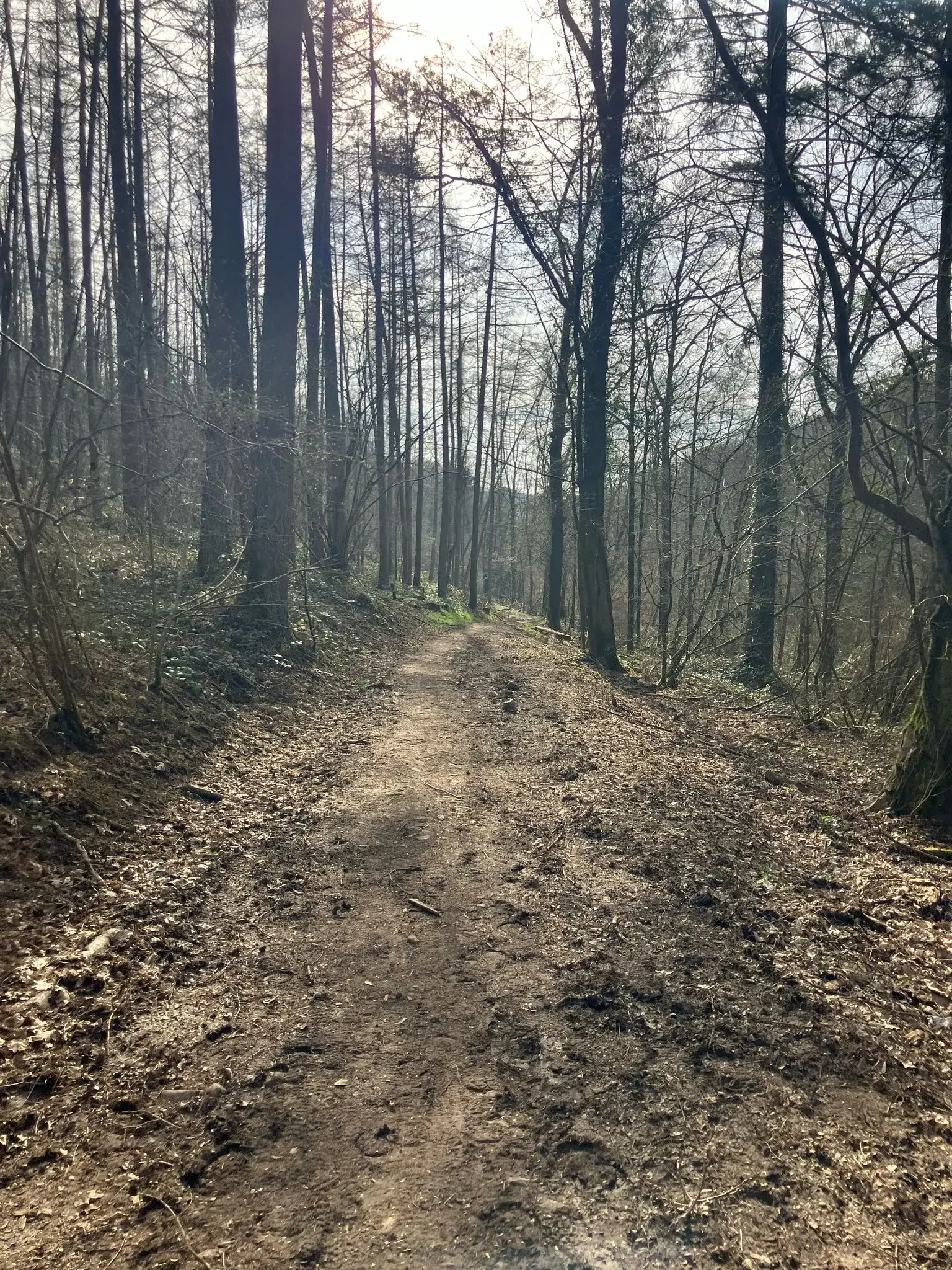 Wandeling afbeelding
