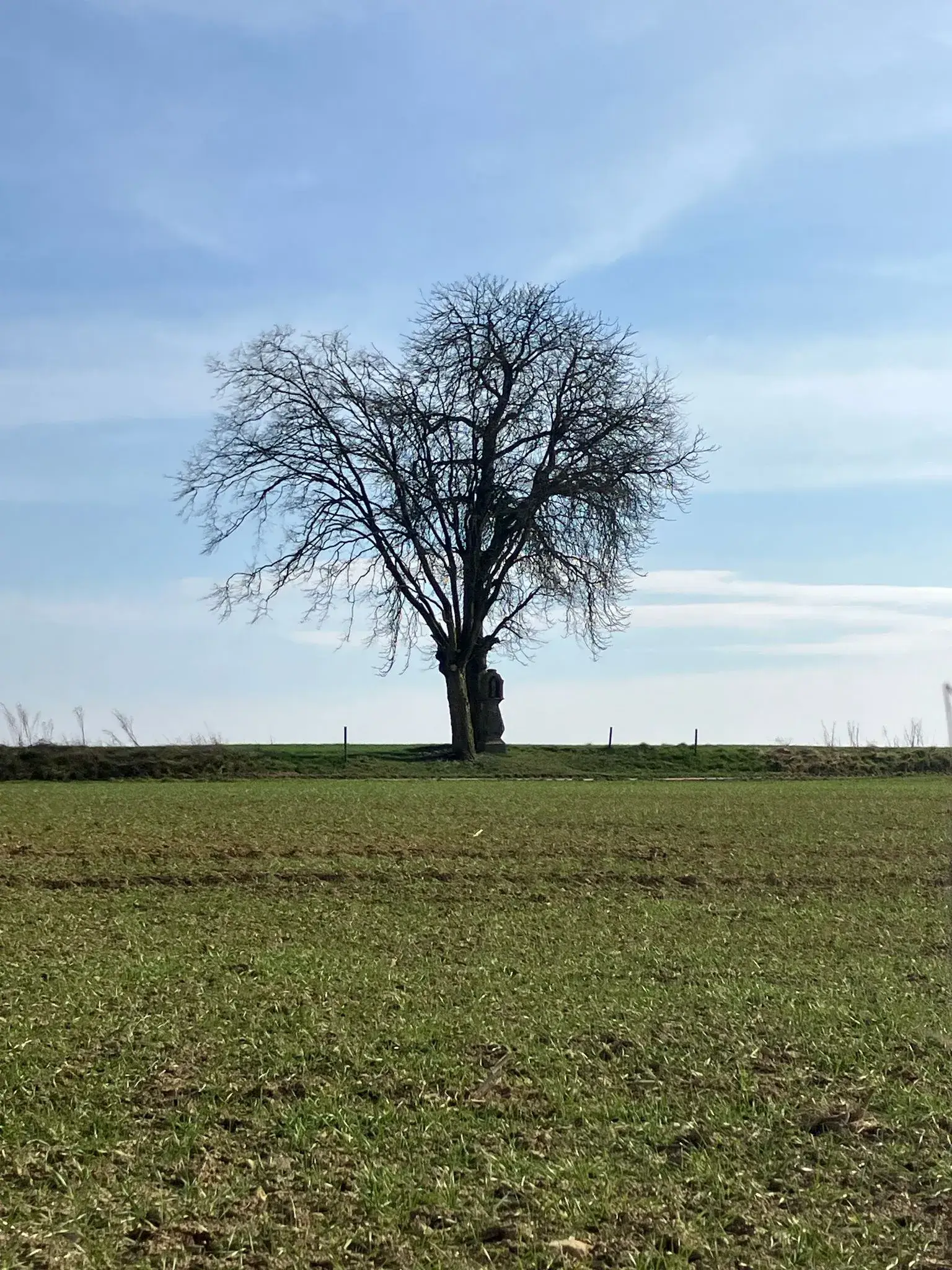 Wandeling afbeelding