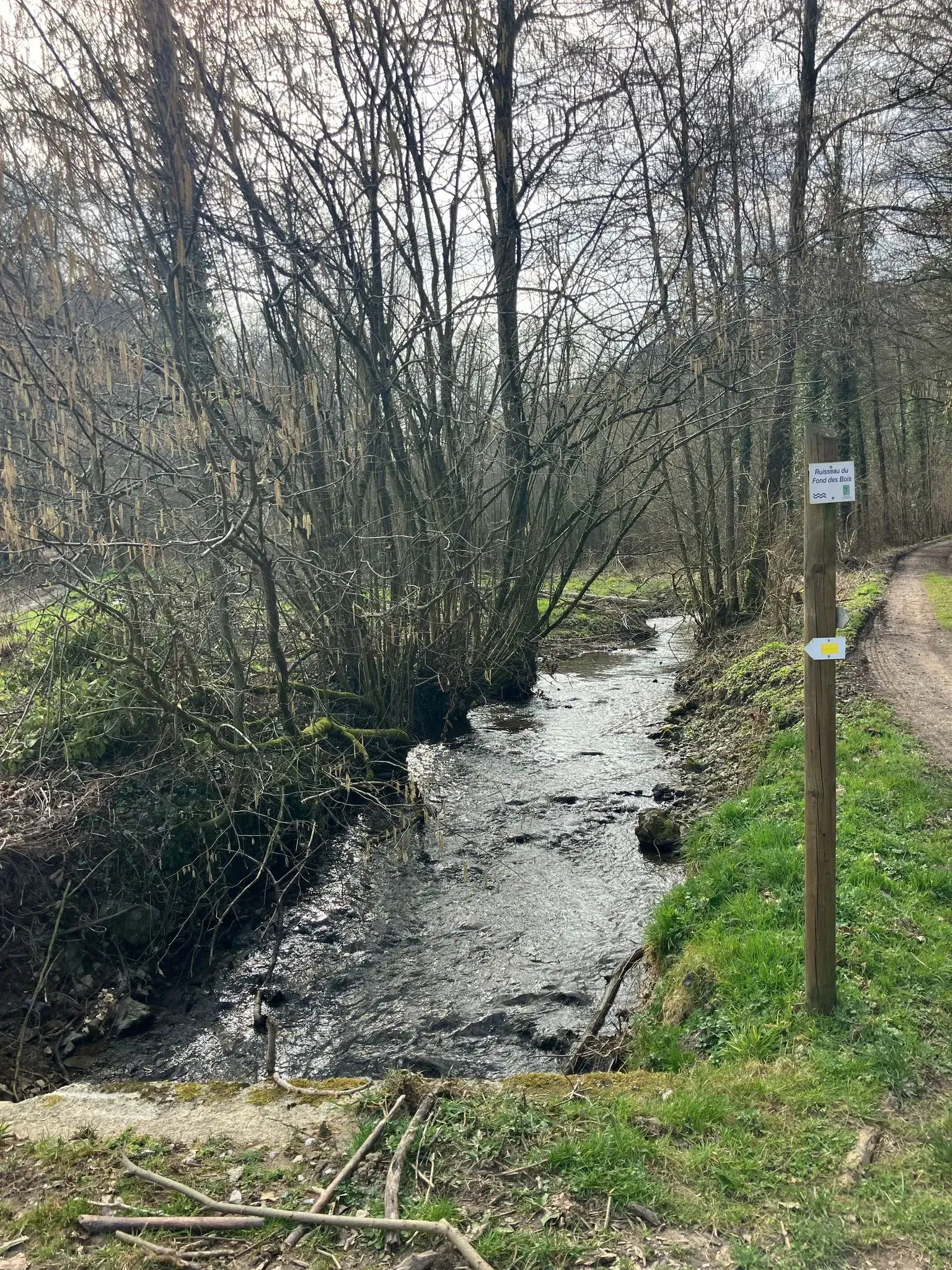 Wandeling afbeelding