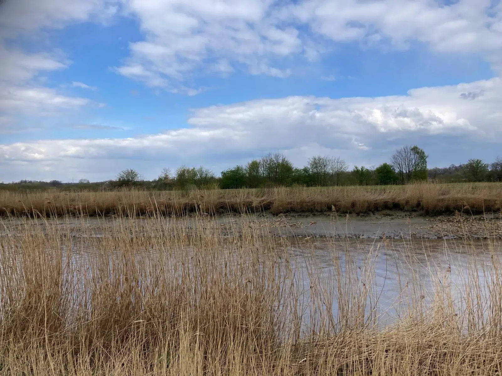 Wandeling afbeelding