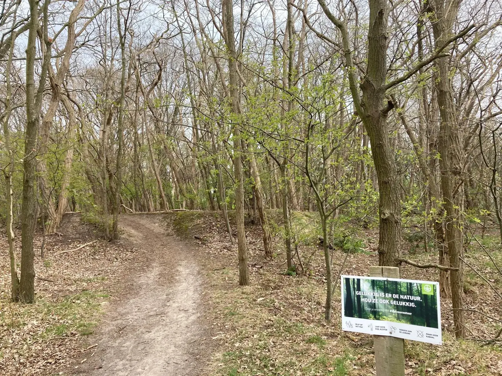 Wandeling afbeelding