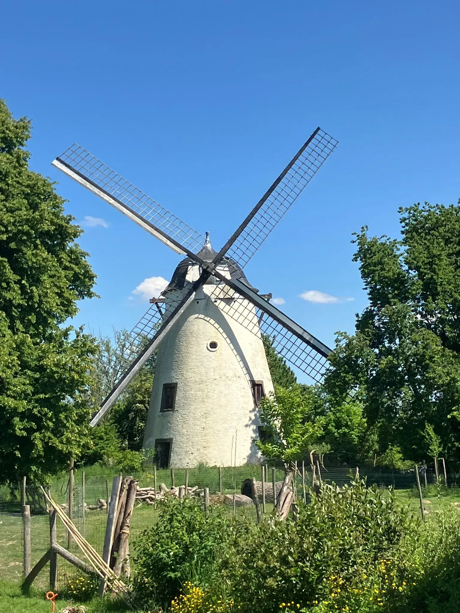 Wandeling afbeelding
