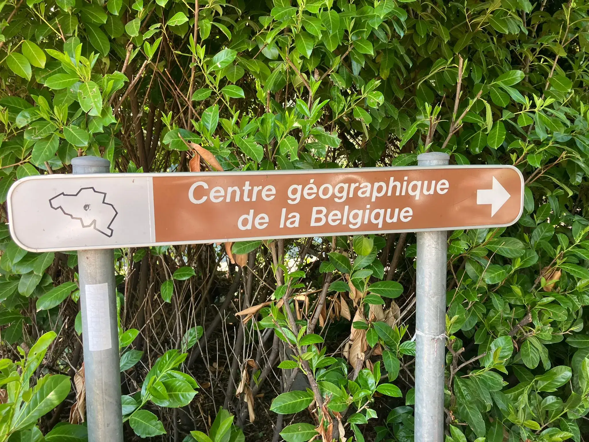 Wandeling afbeelding