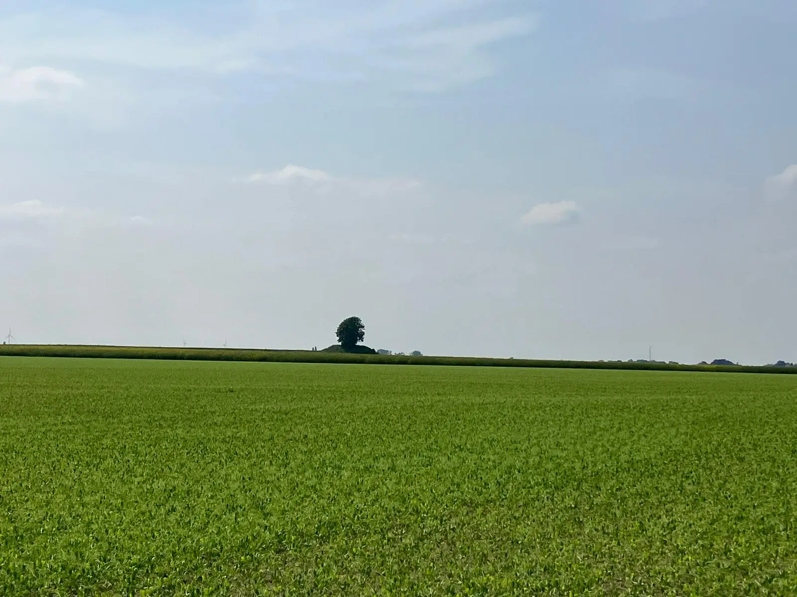 Wandeling afbeelding