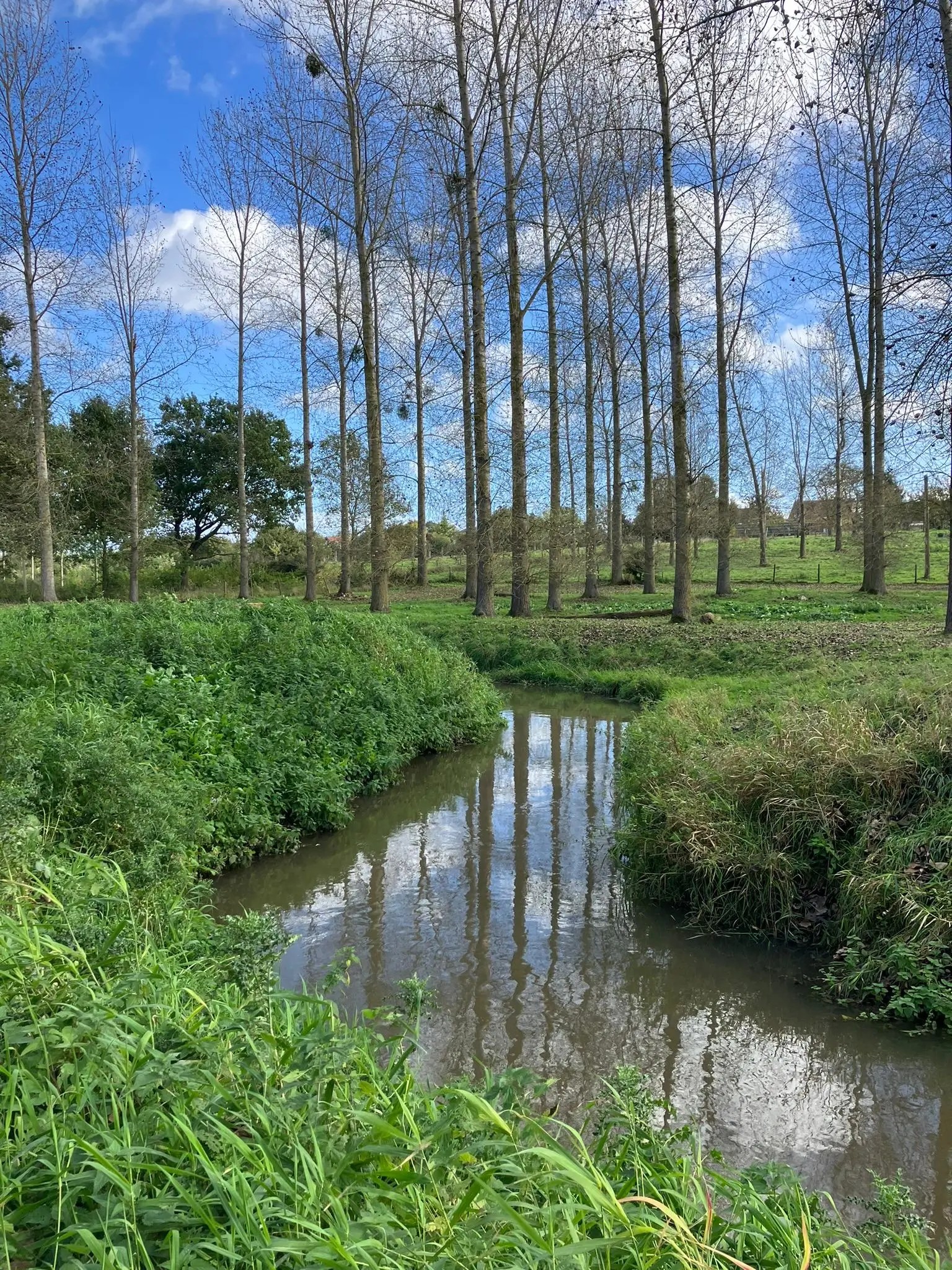 Wandeling afbeelding