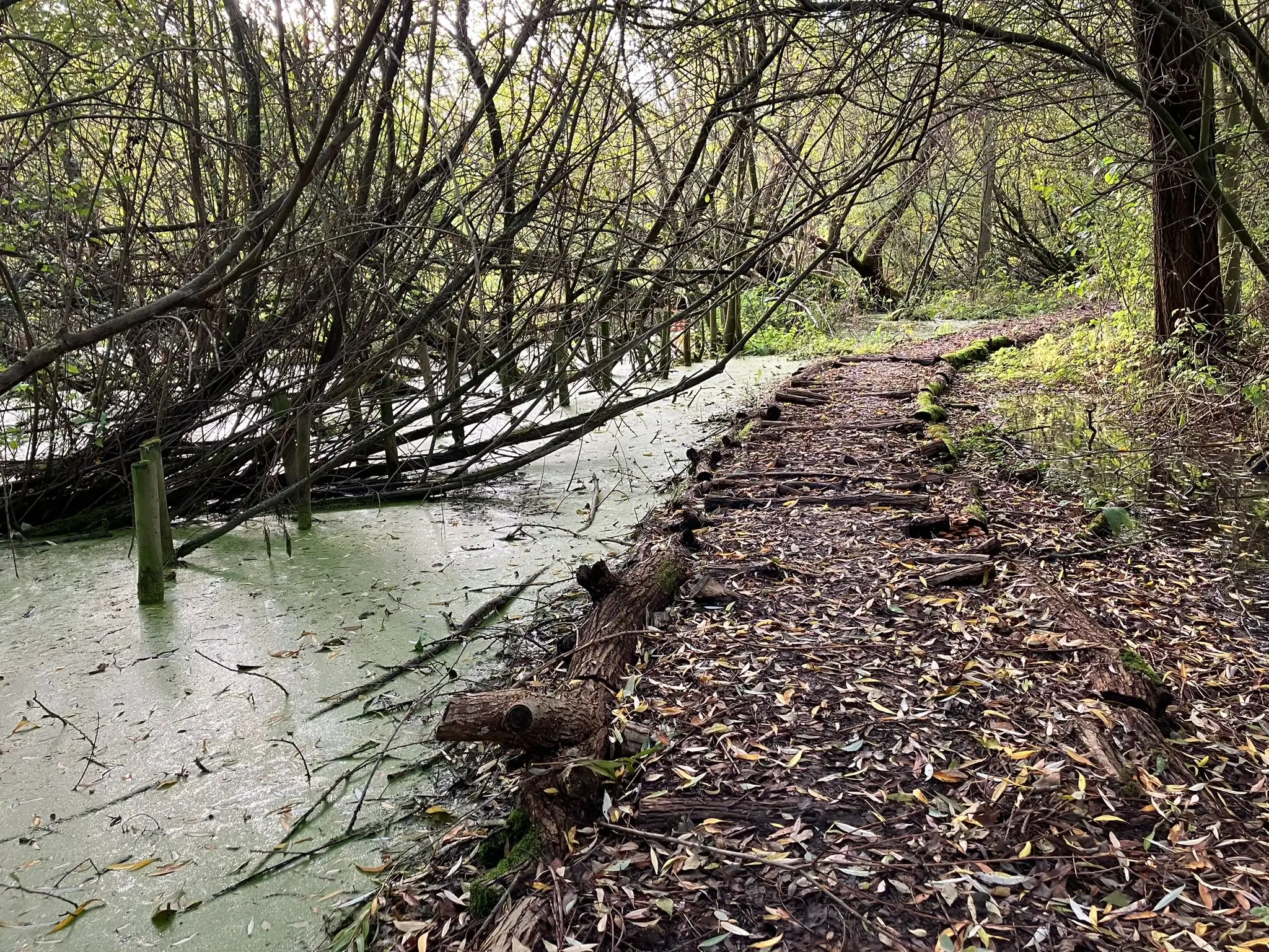 Wandeling afbeelding