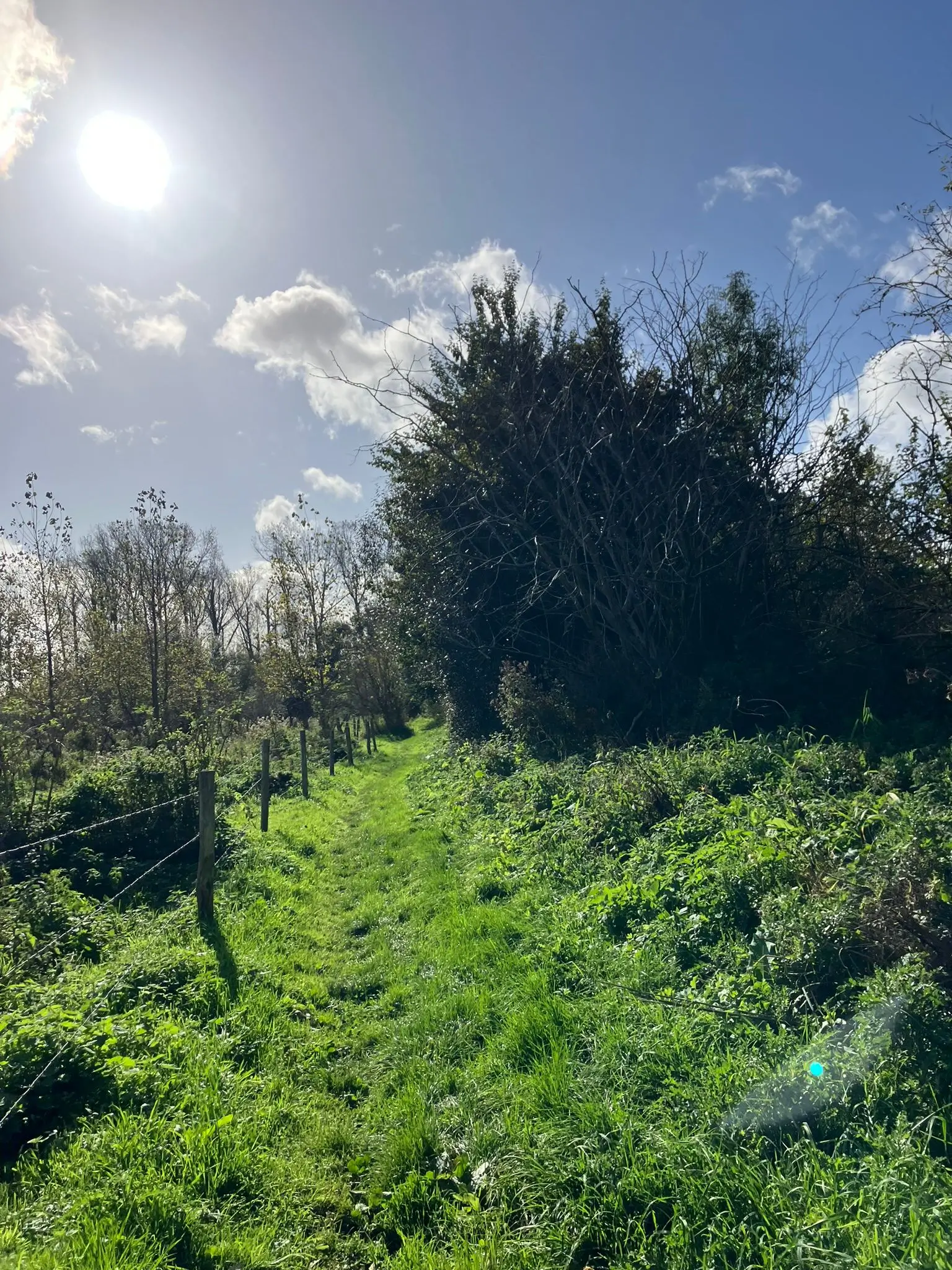 Wandeling afbeelding