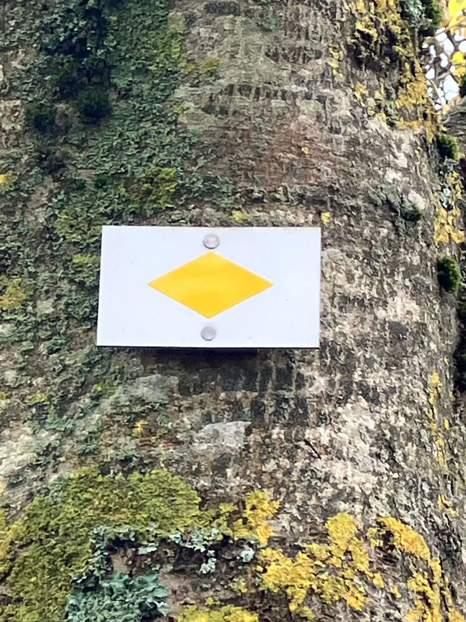 Wandeling afbeelding
