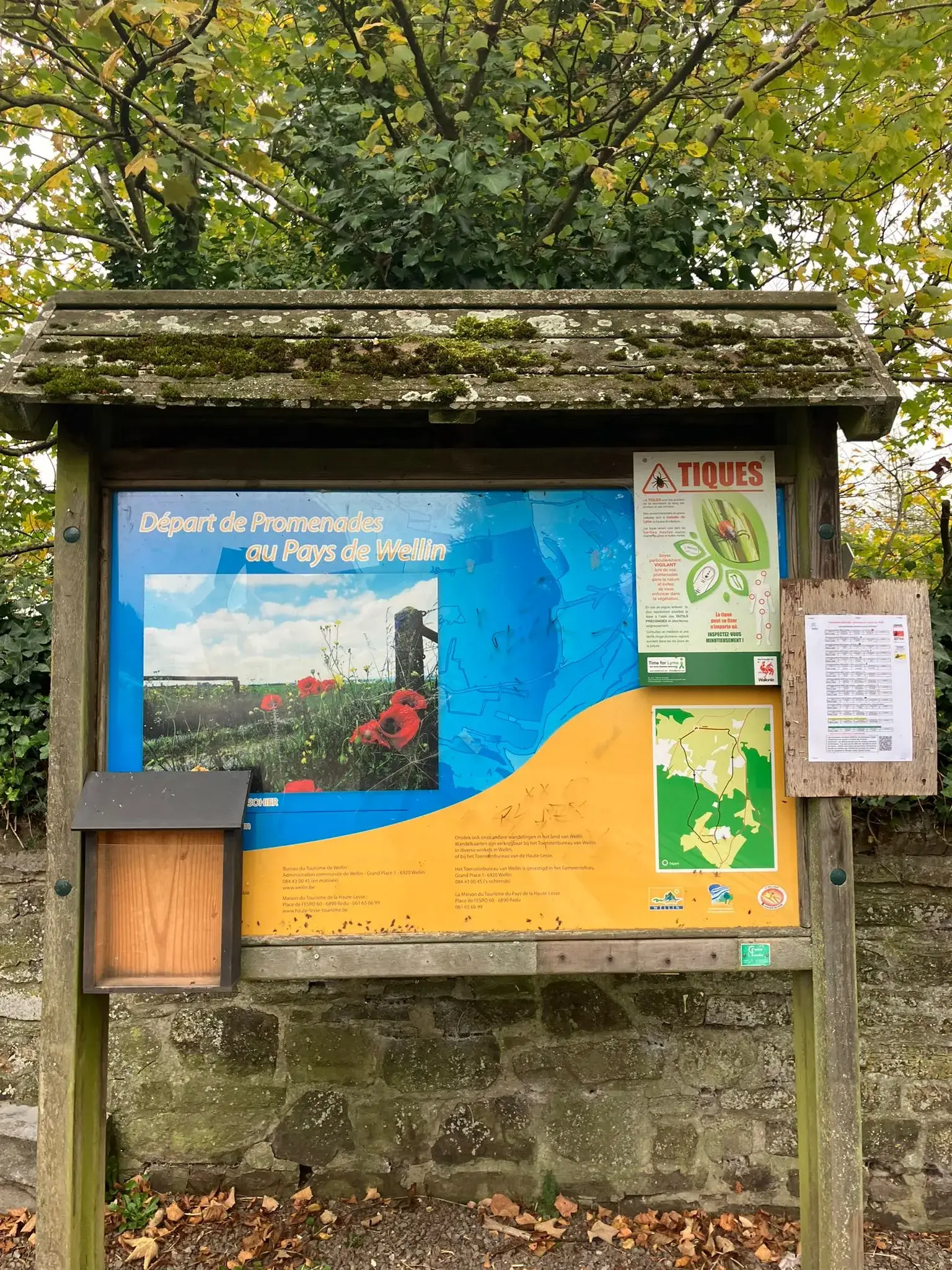 Wandeling afbeelding