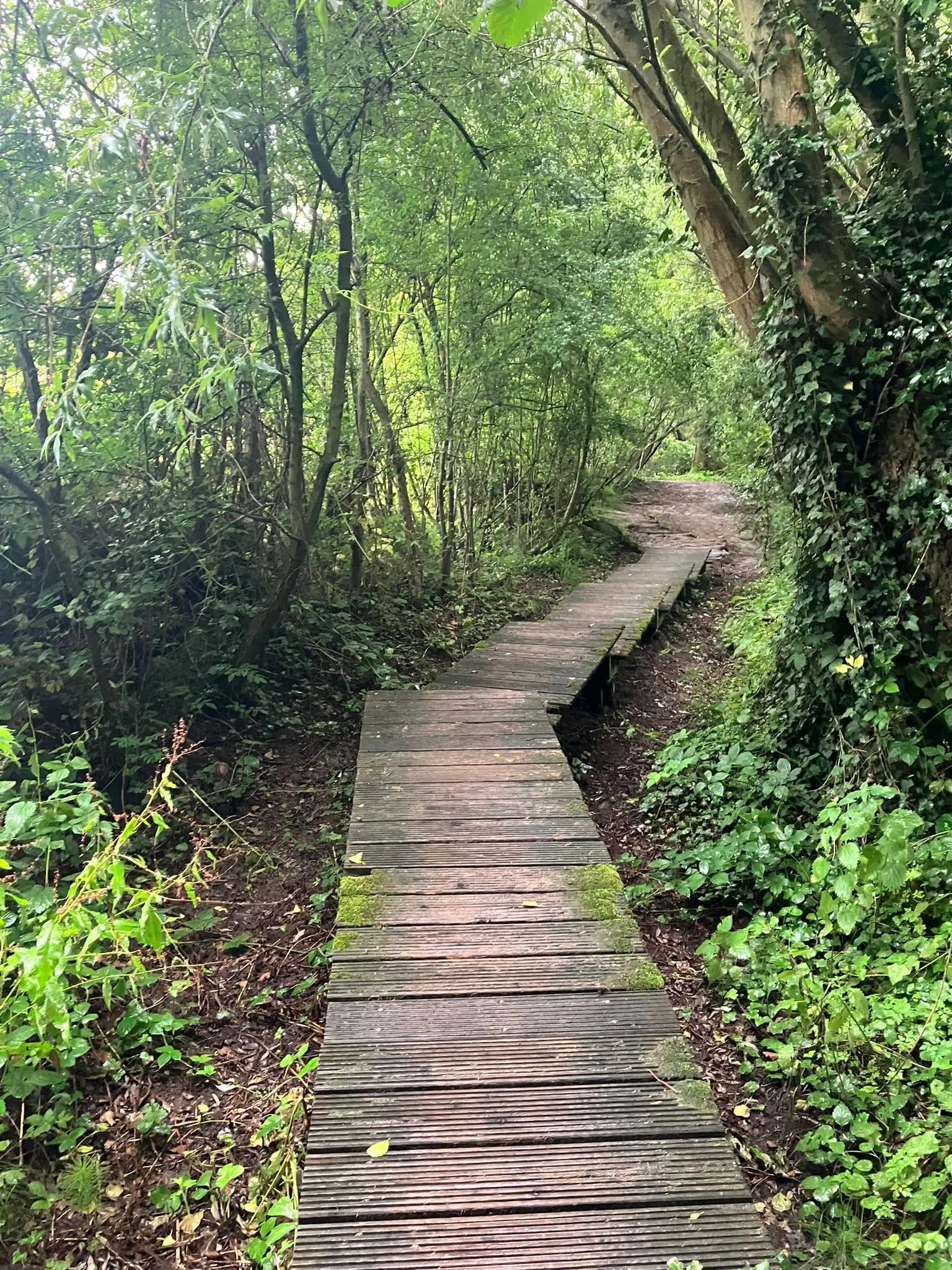 Wandeling afbeelding