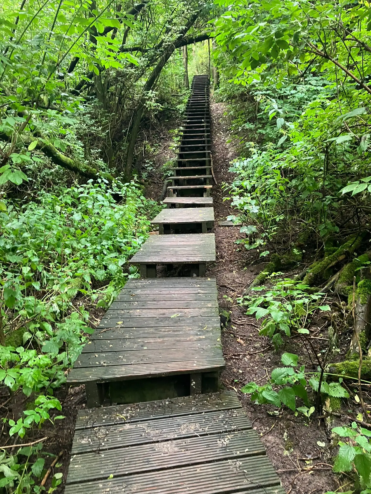 Wandeling afbeelding
