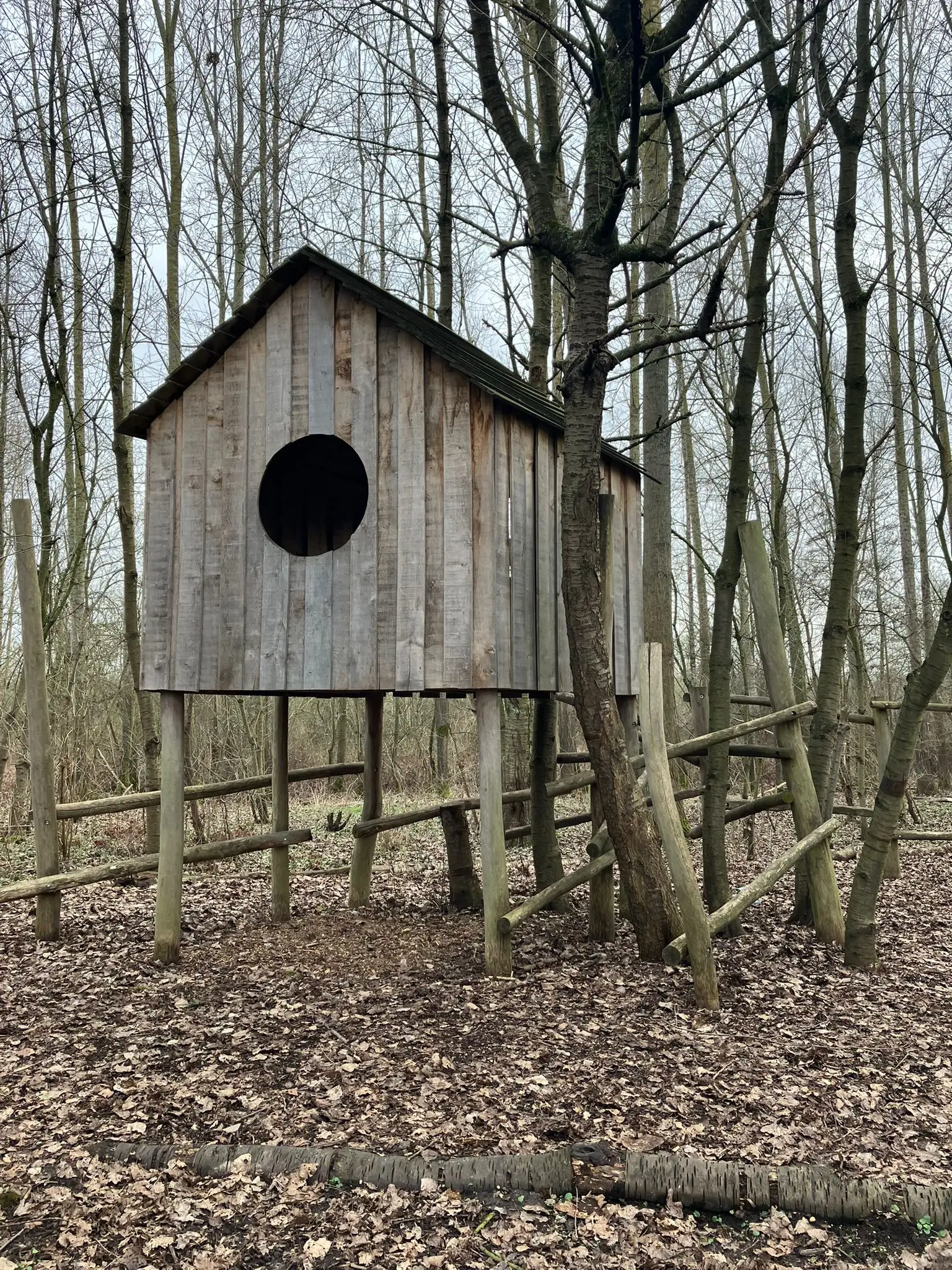 Wandeling afbeelding