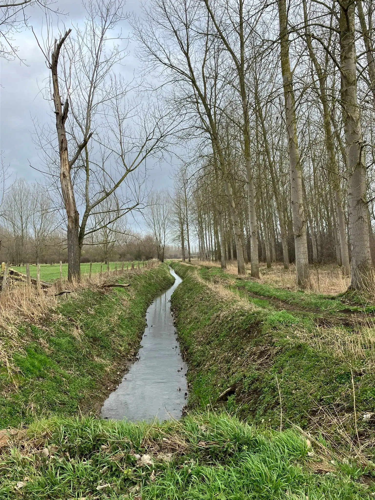 Wandeling afbeelding