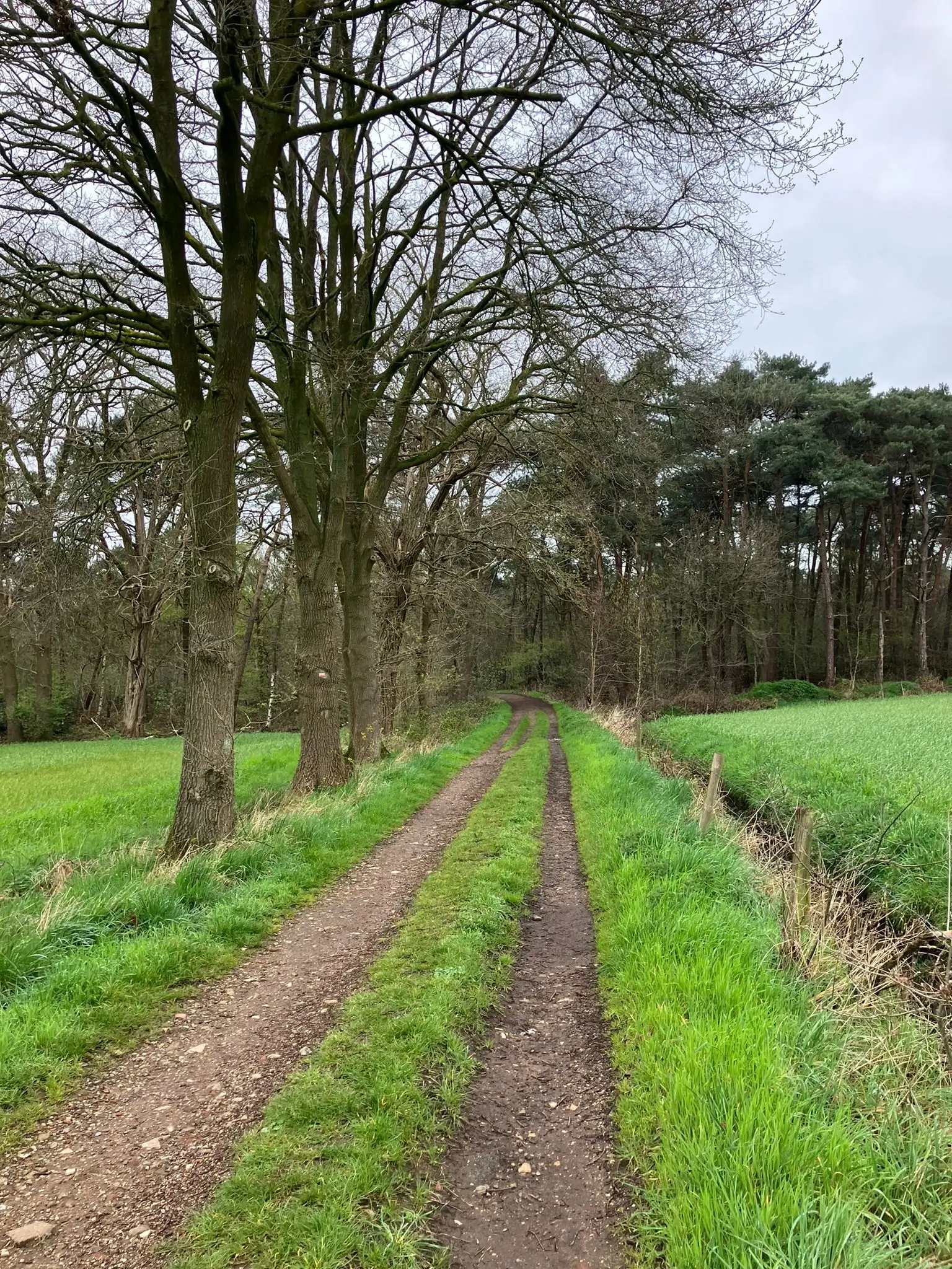Wandeling afbeelding