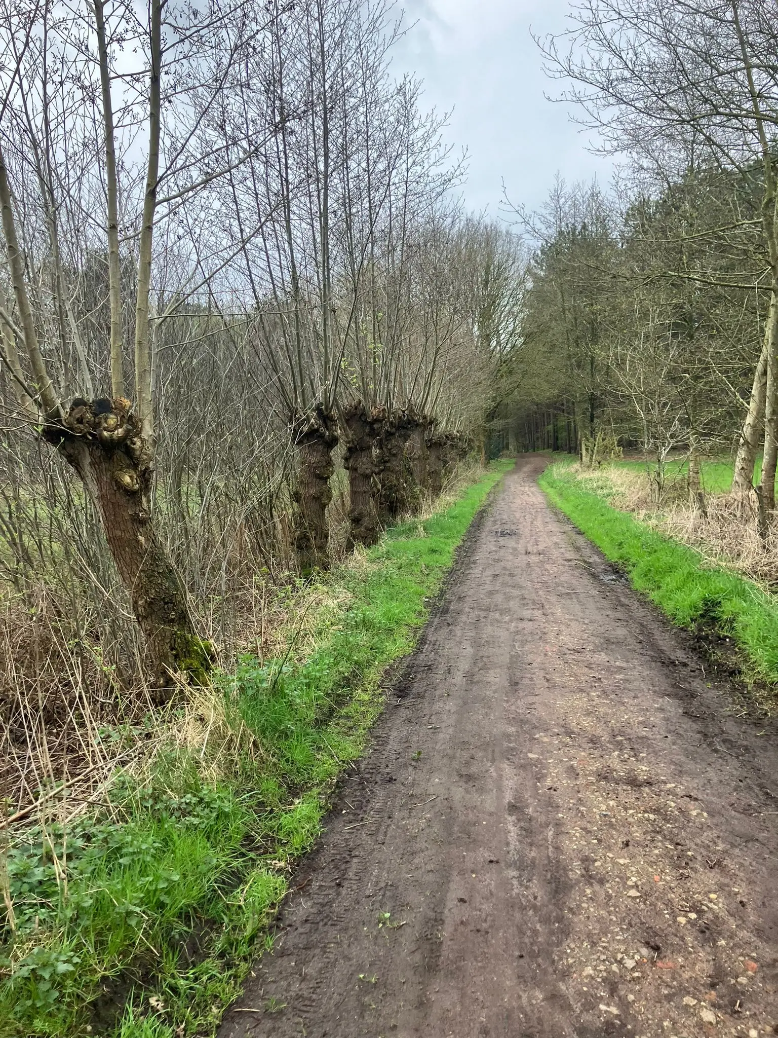 Wandeling afbeelding