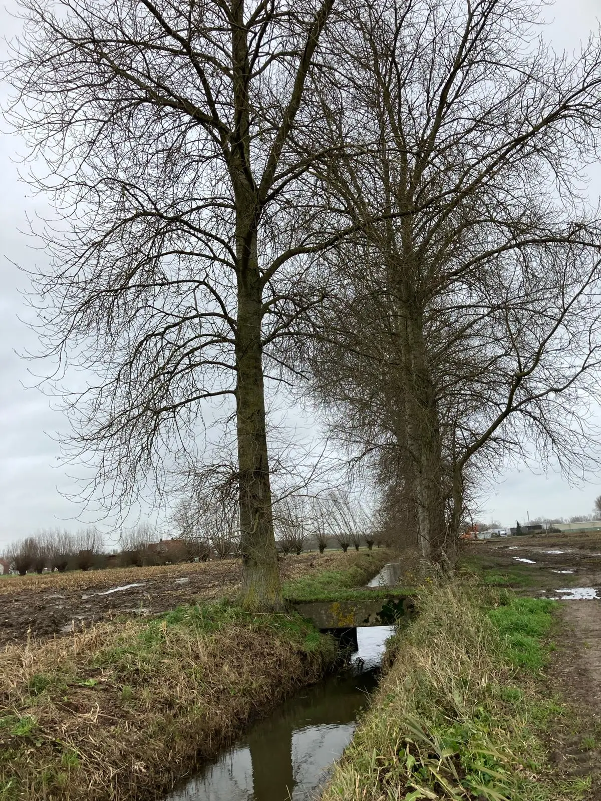 Wandeling afbeelding