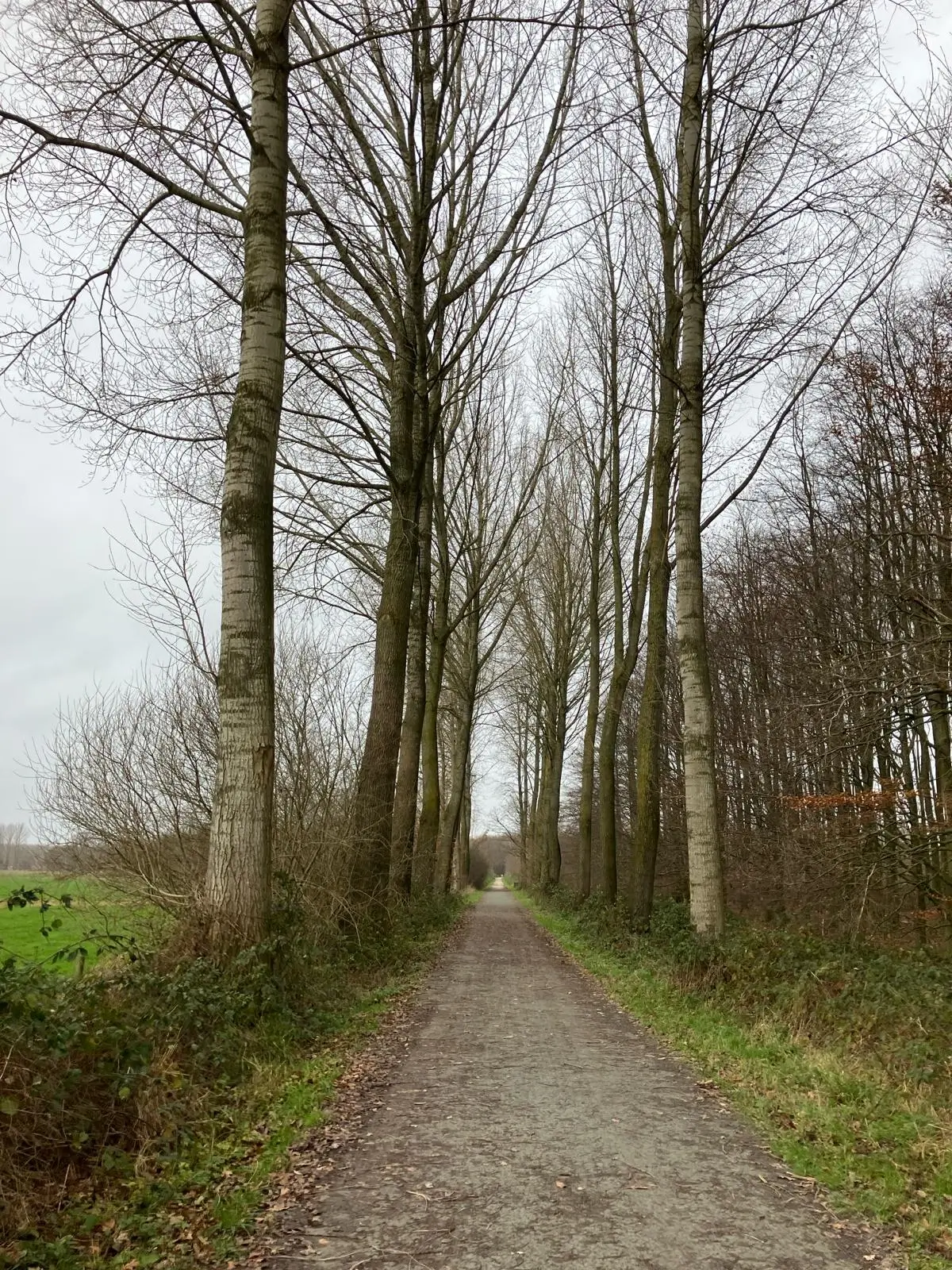 Wandeling afbeelding