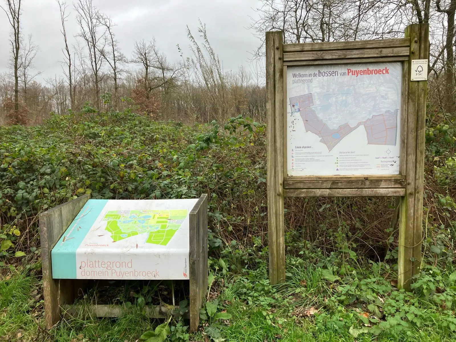 Wandeling afbeelding
