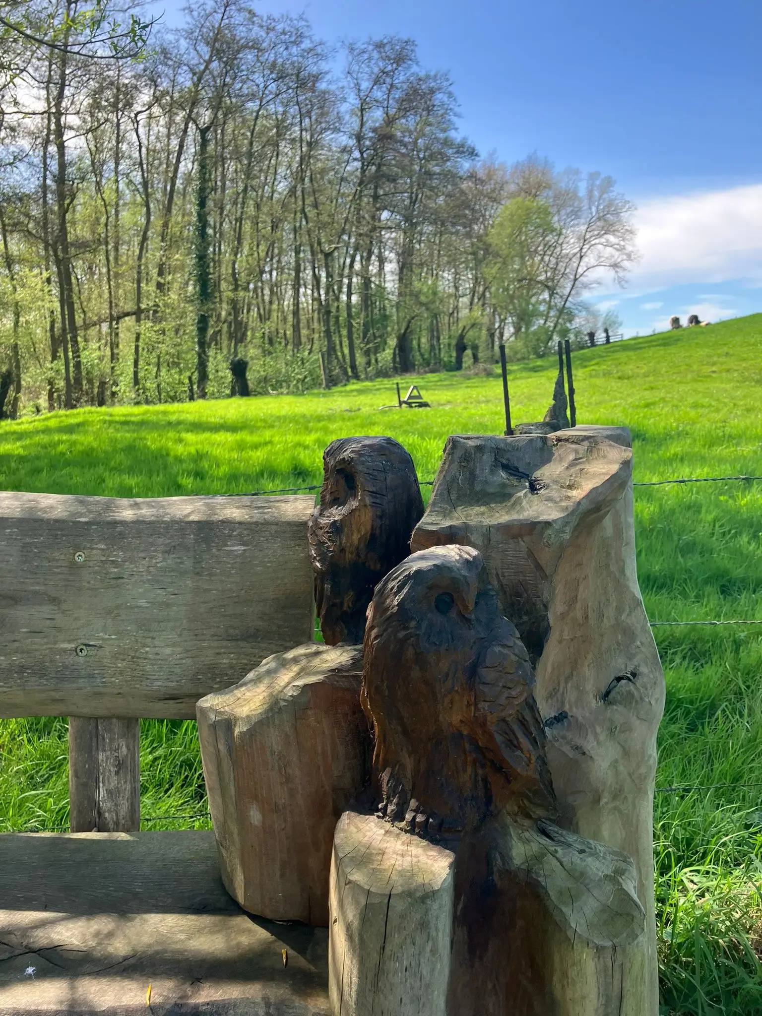 Wandeling afbeelding