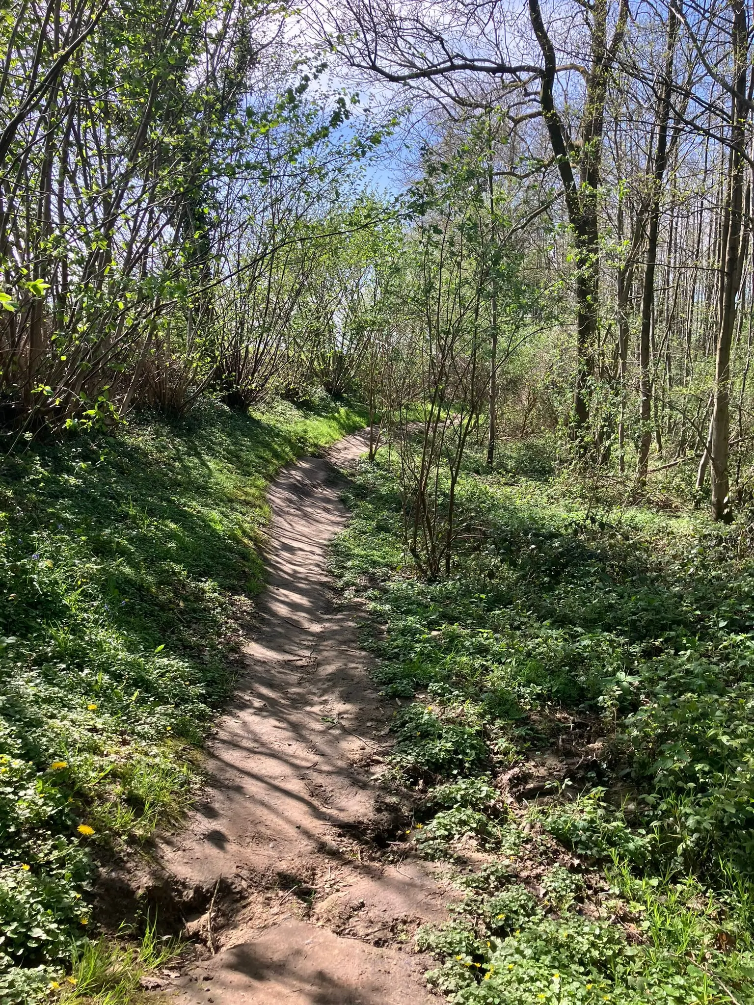 Wandeling afbeelding