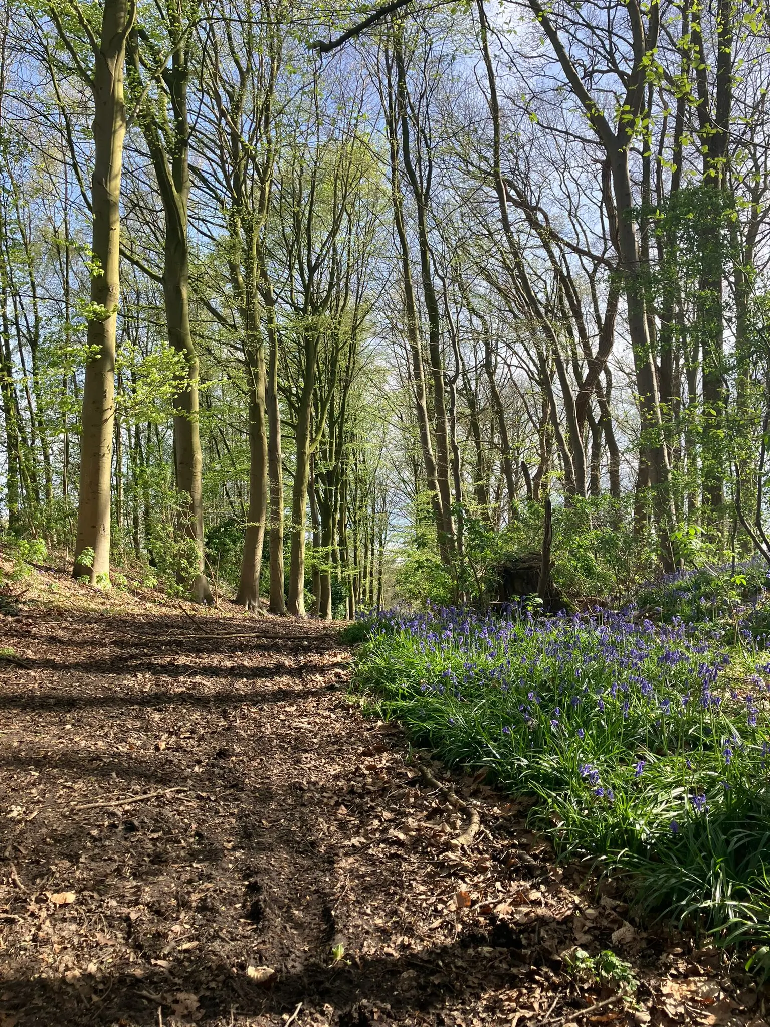 Wandeling afbeelding