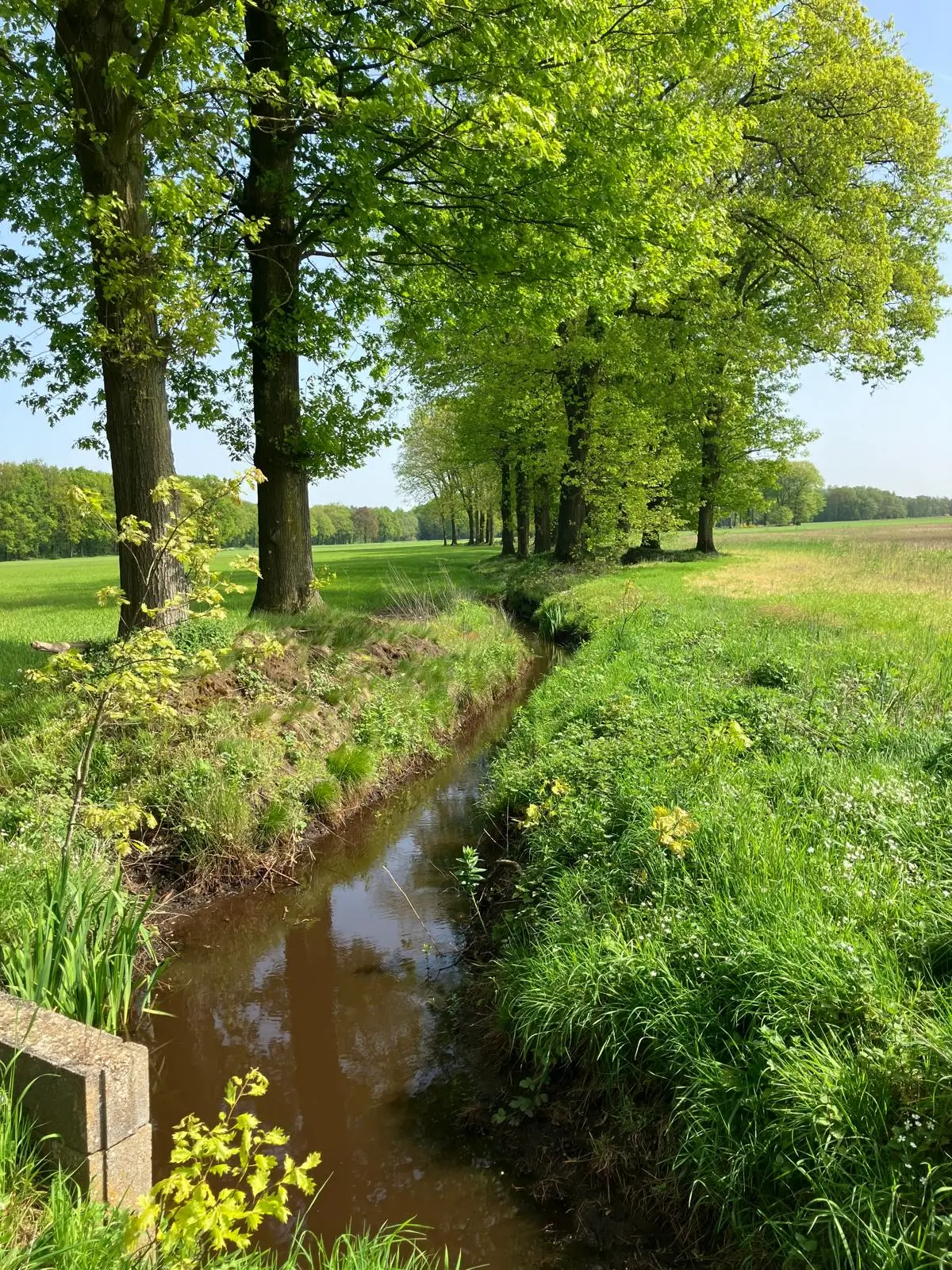 Wandeling afbeelding