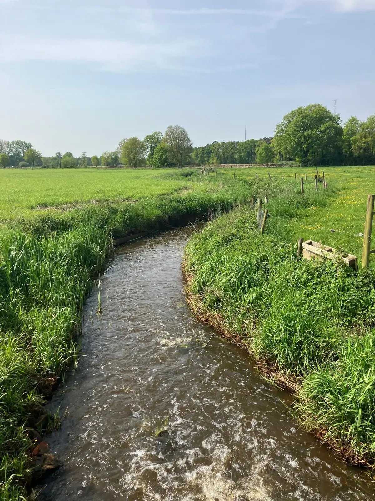 Wandeling afbeelding