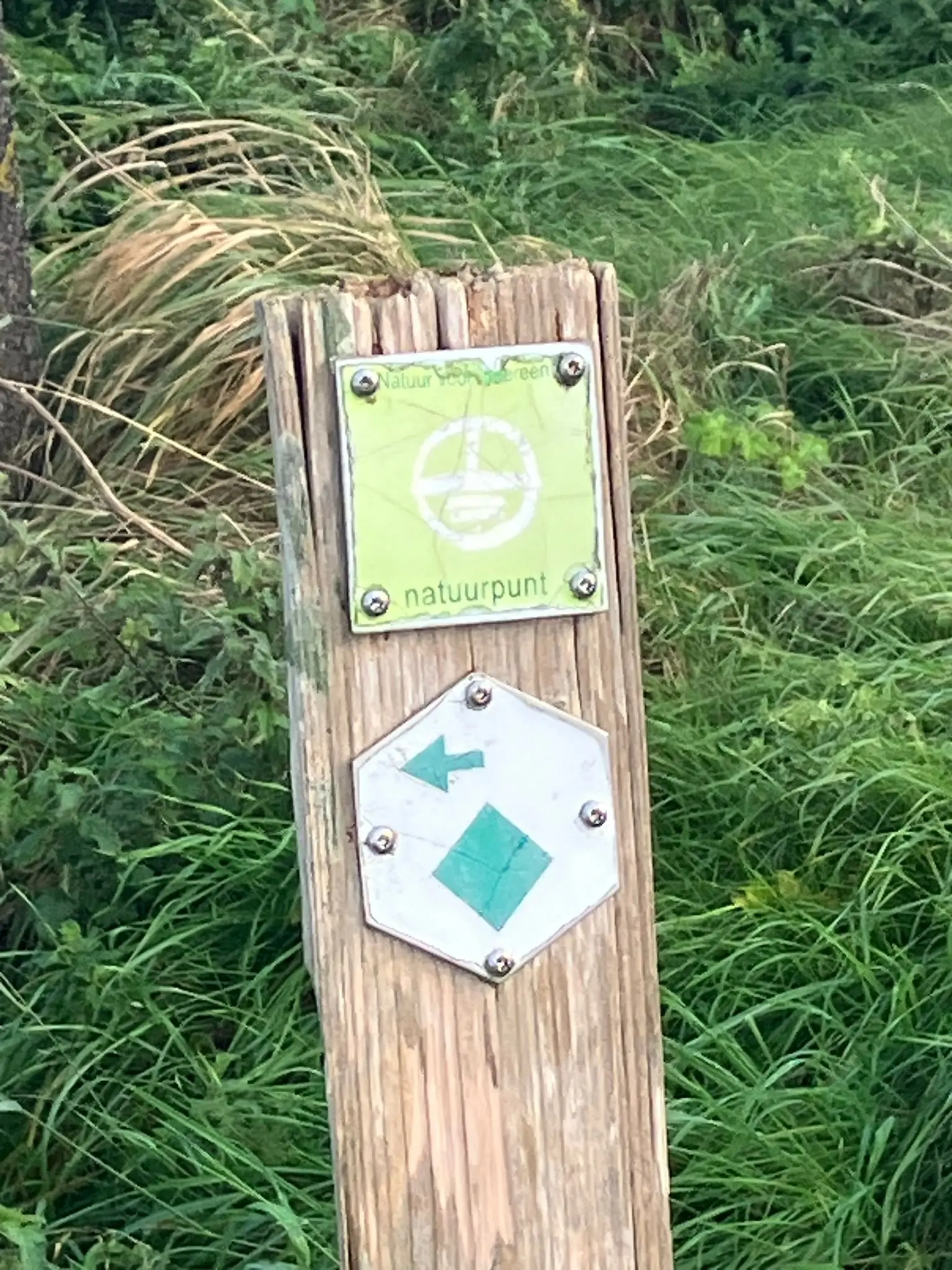 Wandeling afbeelding