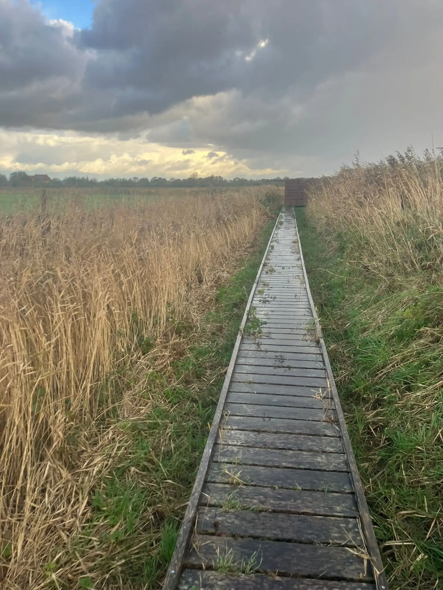 Wandeling afbeelding