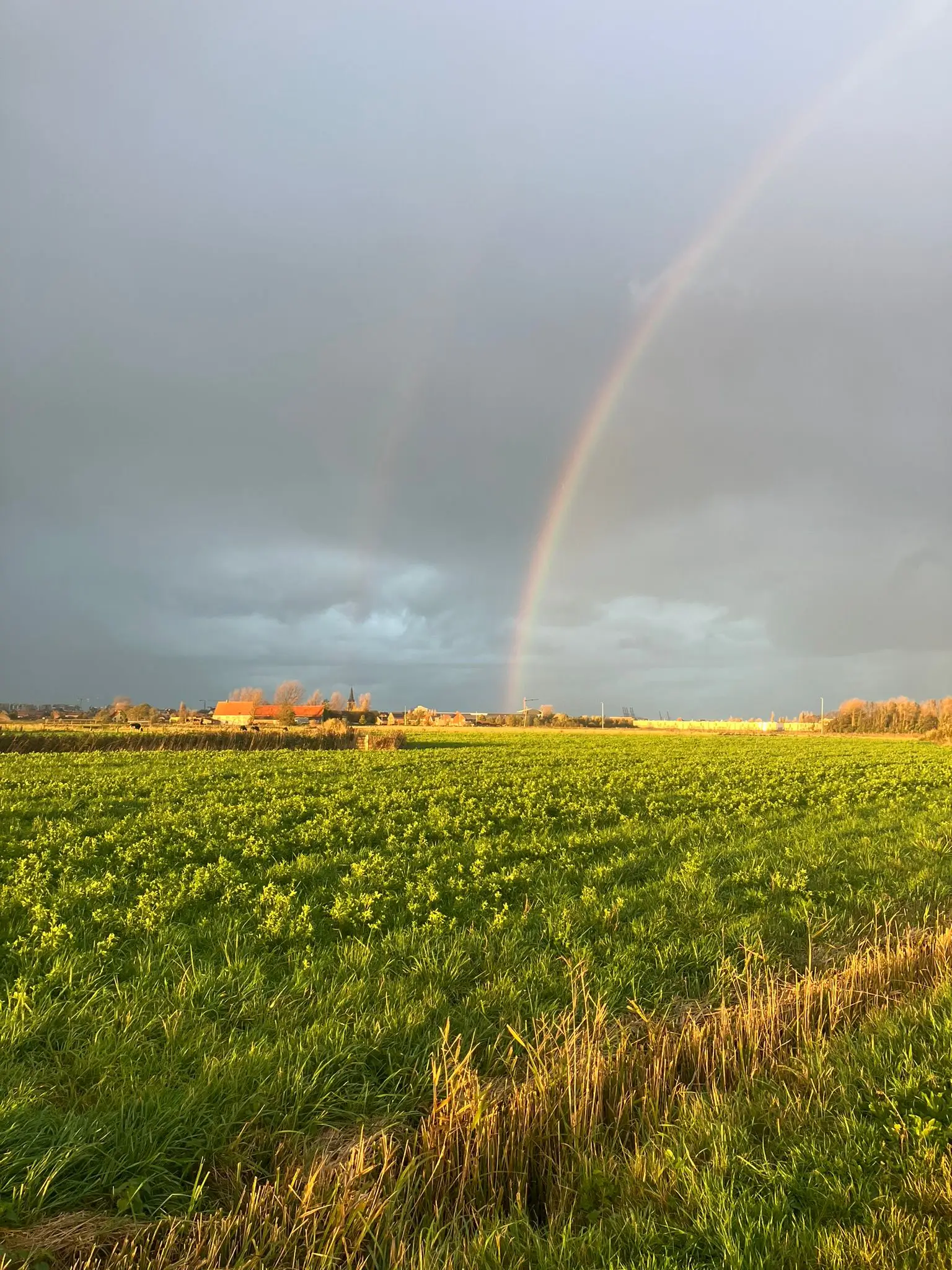 Wandeling afbeelding