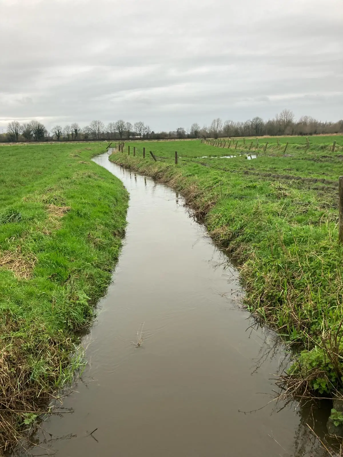 Wandeling afbeelding