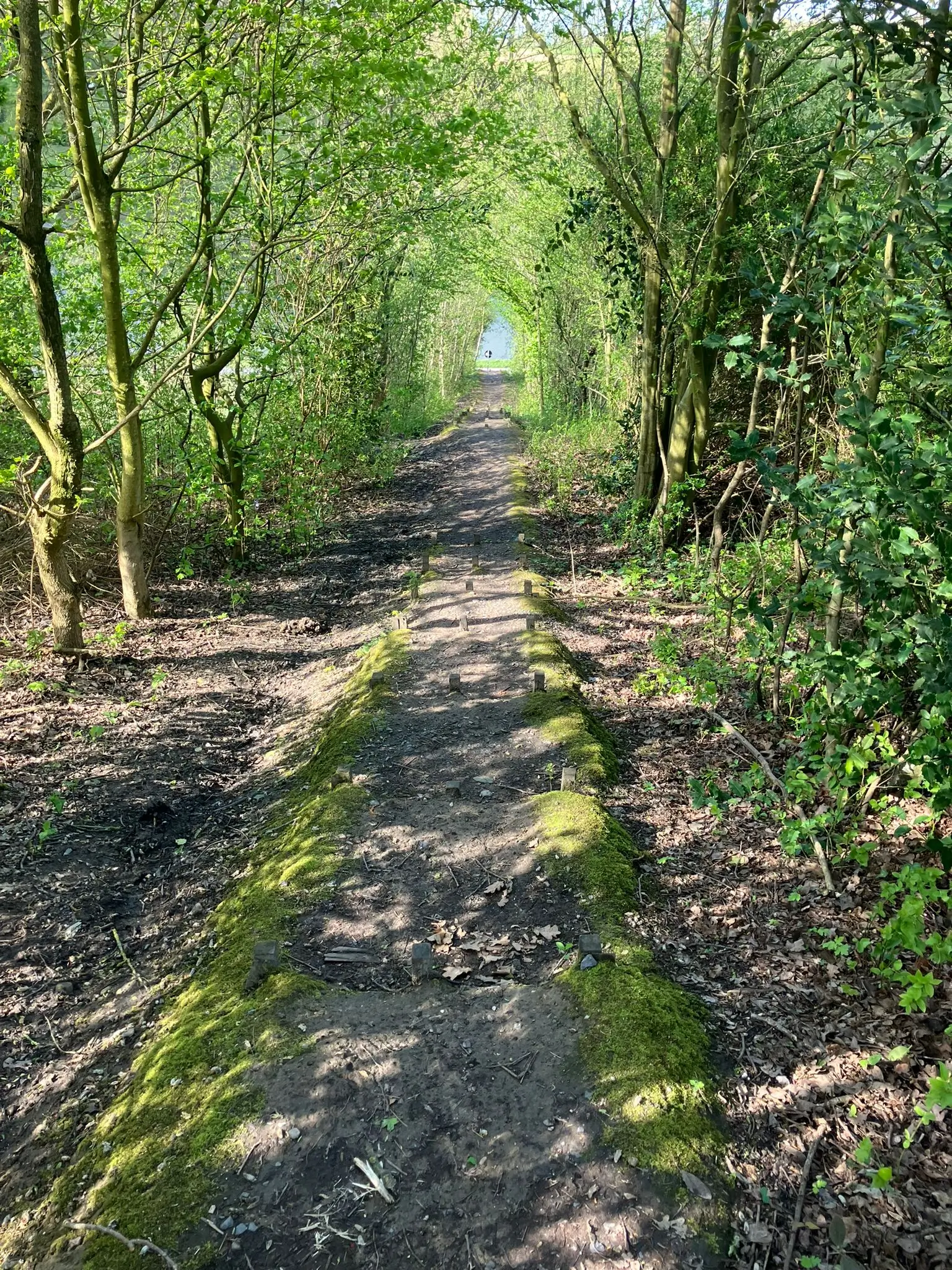 Wandeling afbeelding