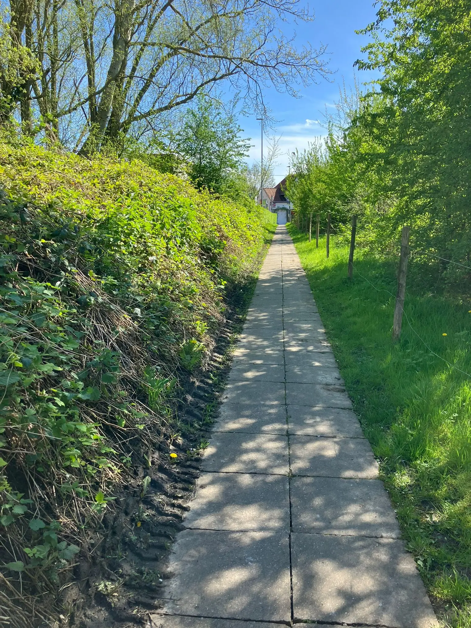 Wandeling afbeelding