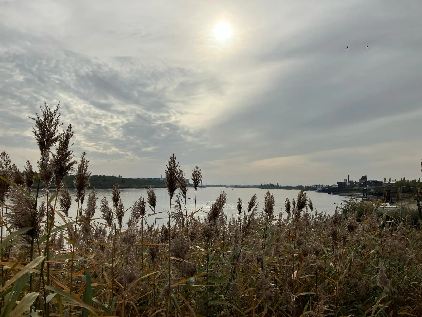 Wandeling afbeelding